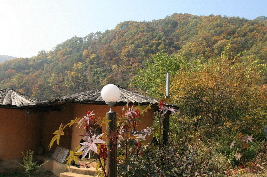 Post image 5