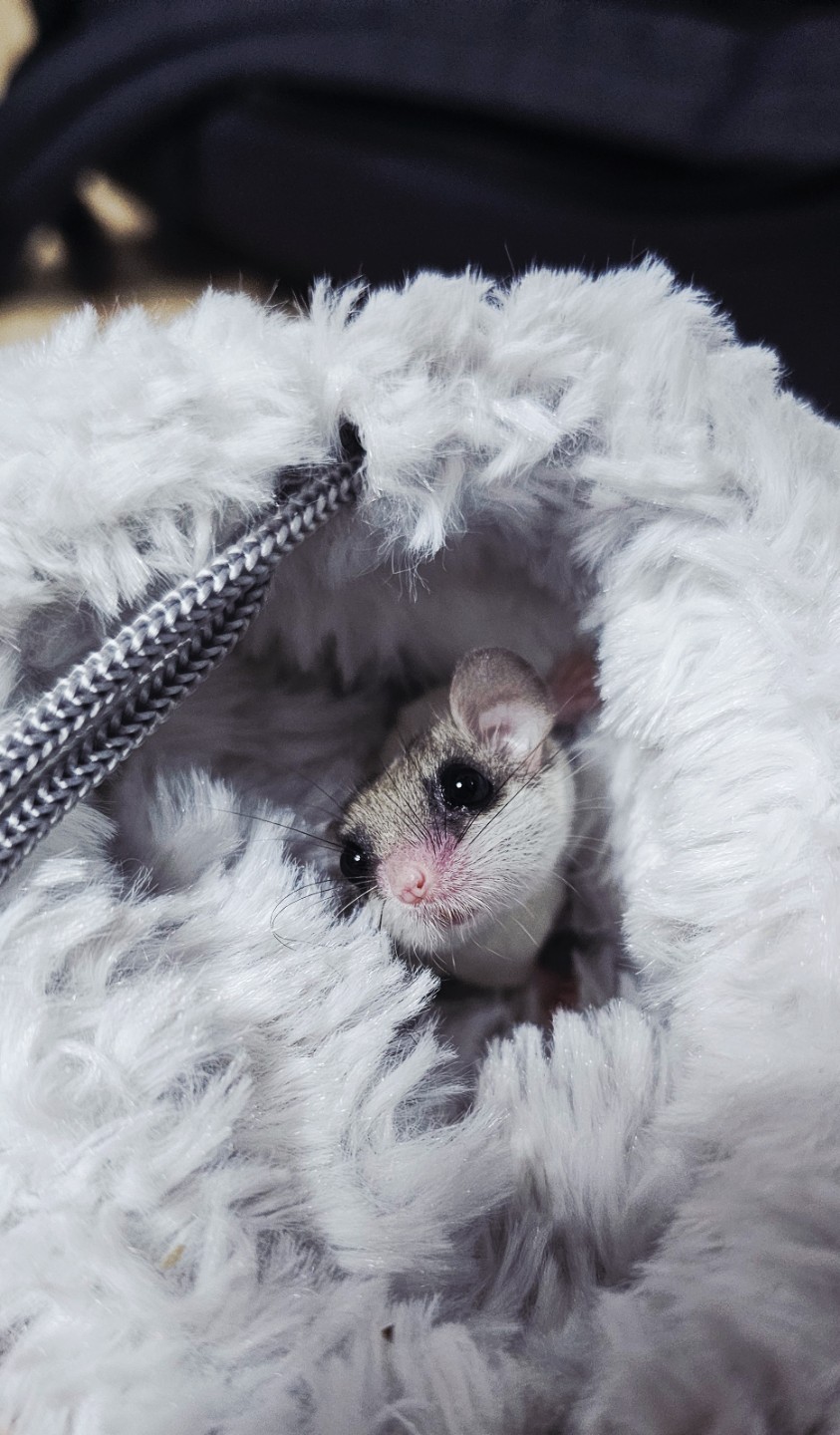 방금 가입했습니다