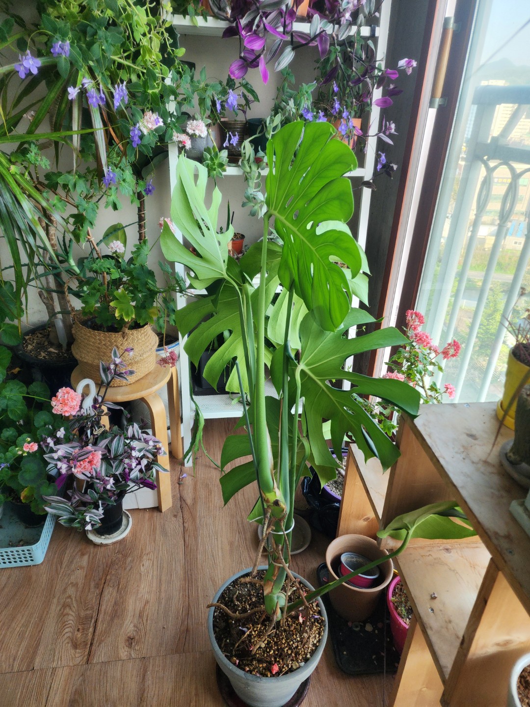 Post image 10