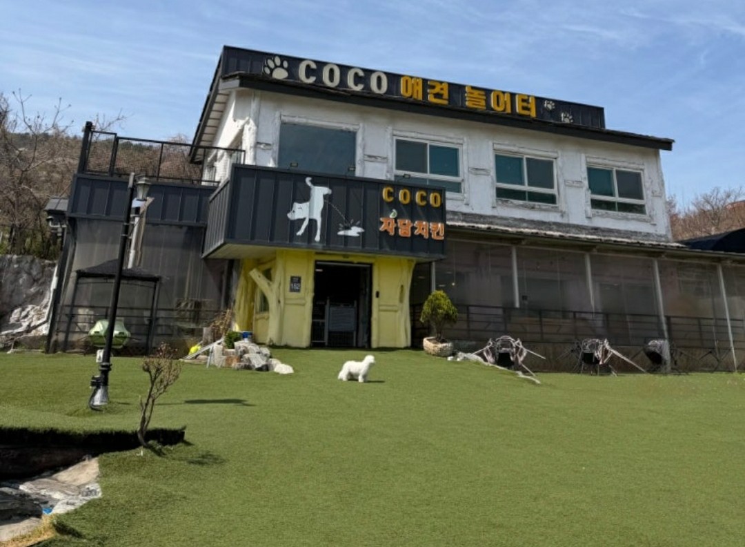 넓은 운동장이 있는 애견카페 리스트