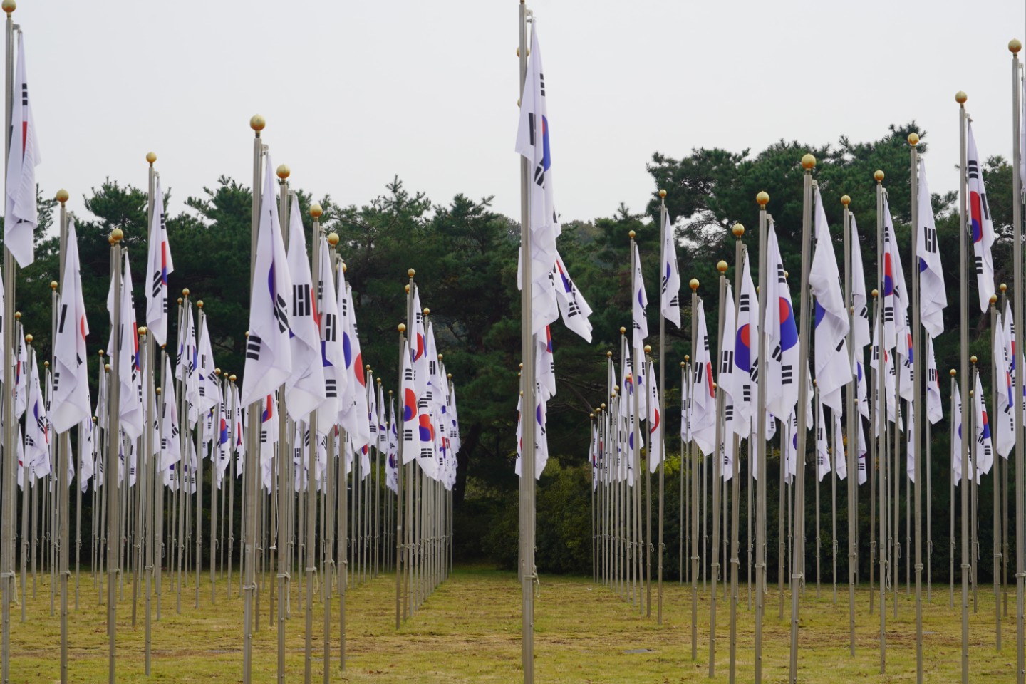 나만의 작품 세계 🖼️
