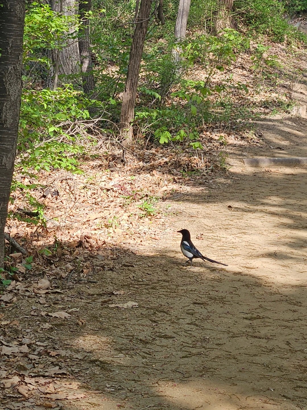 국내여행당일최저가~~