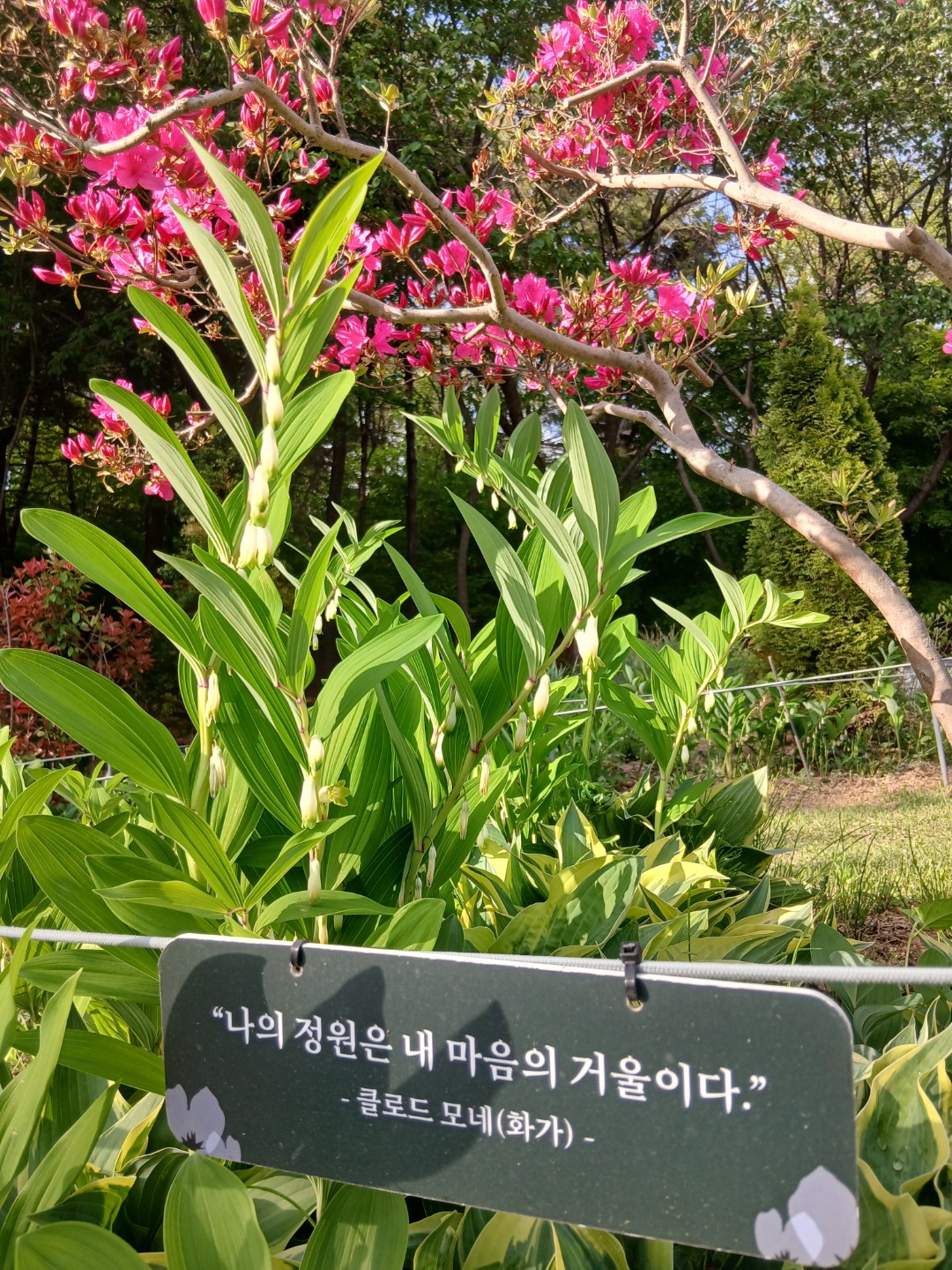 Post image 5