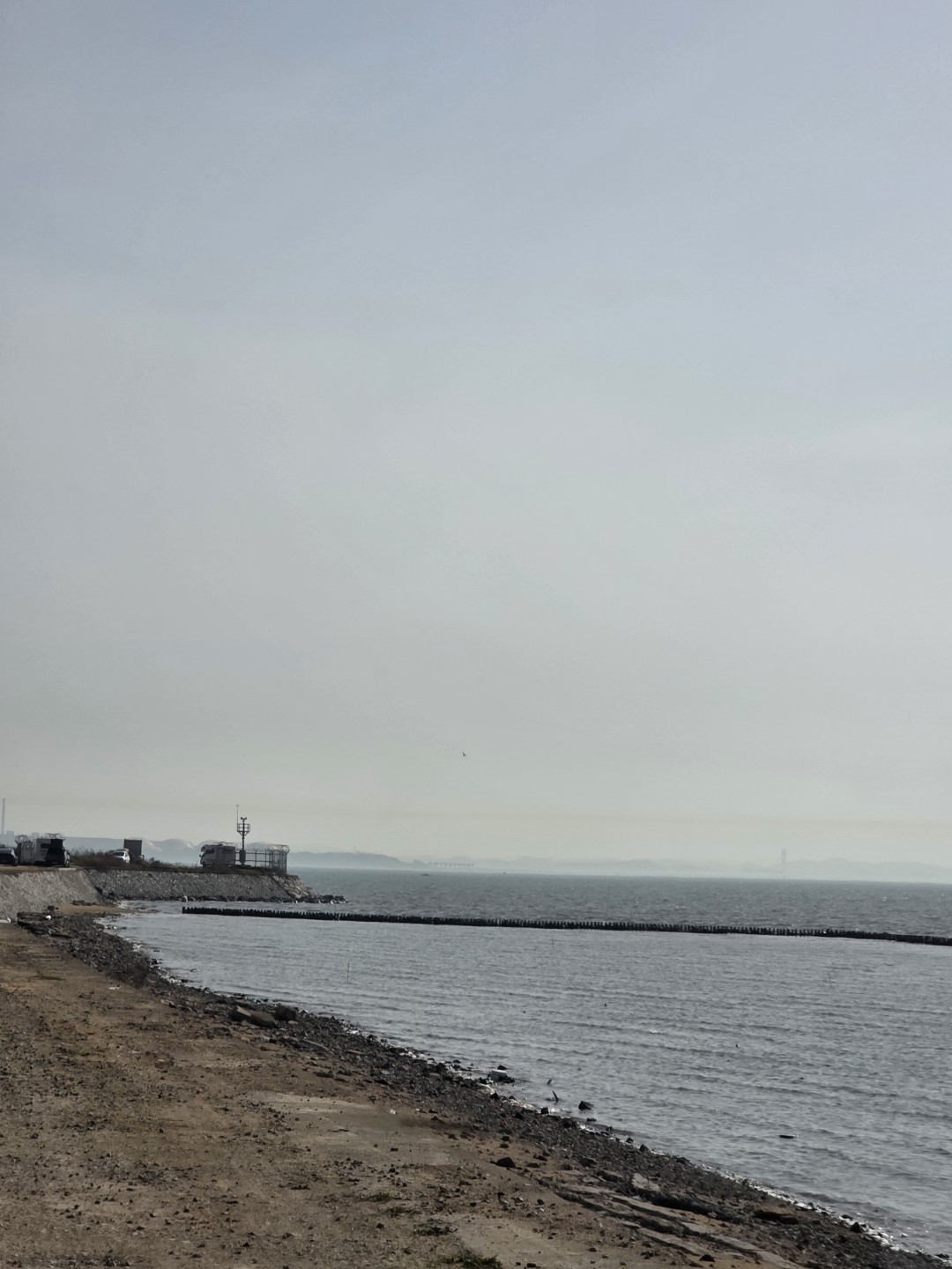 Post image 6