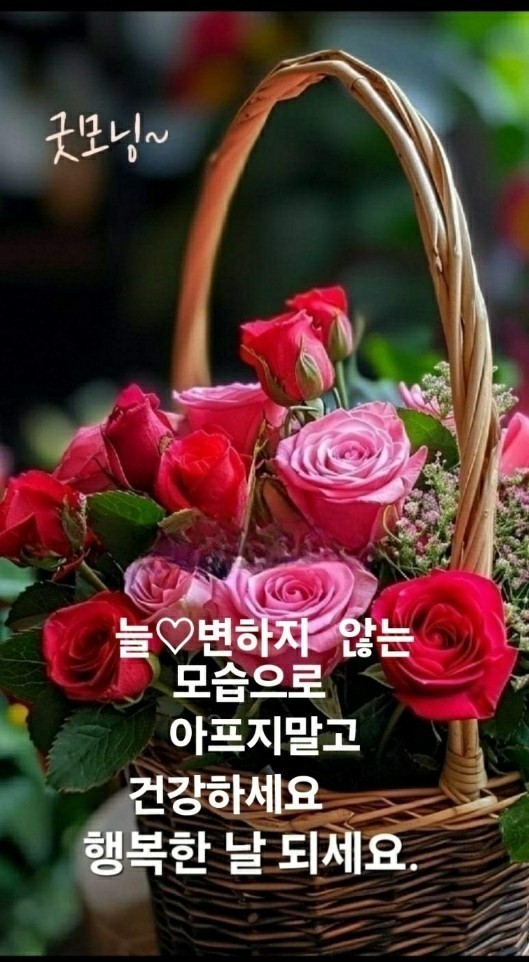 전기료 아끼기 (펌)