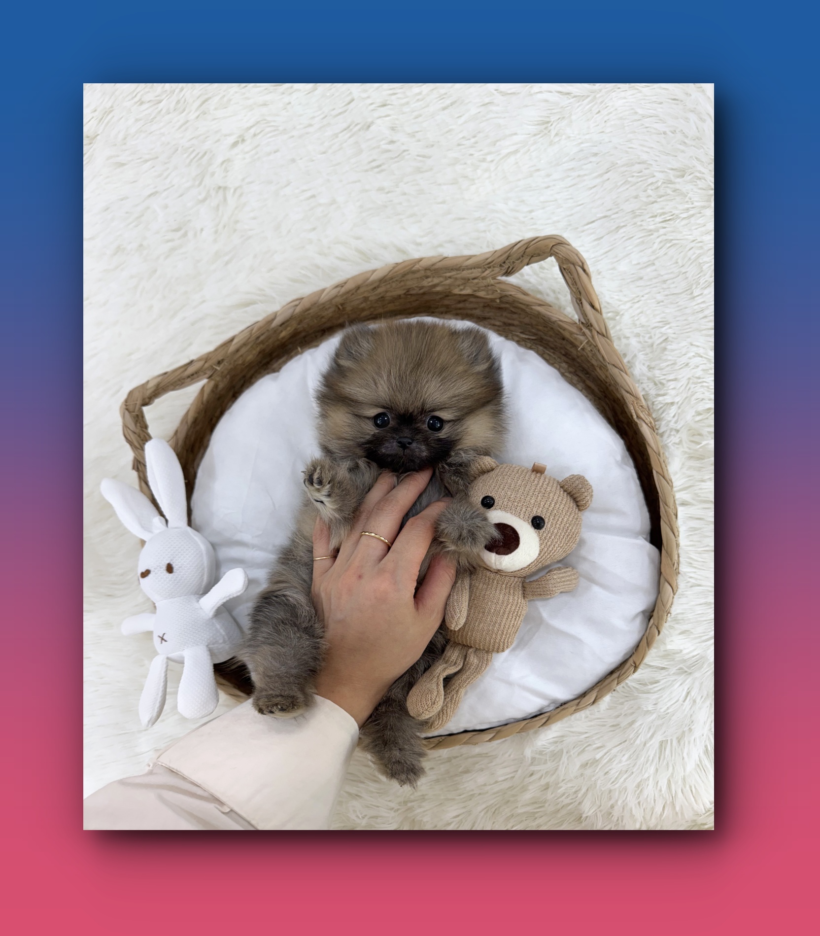 Post image 18