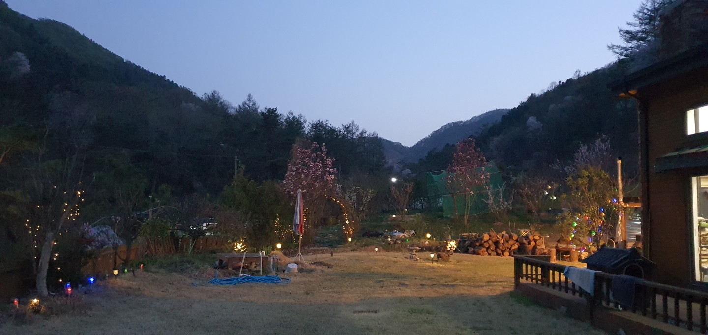 마당에서~