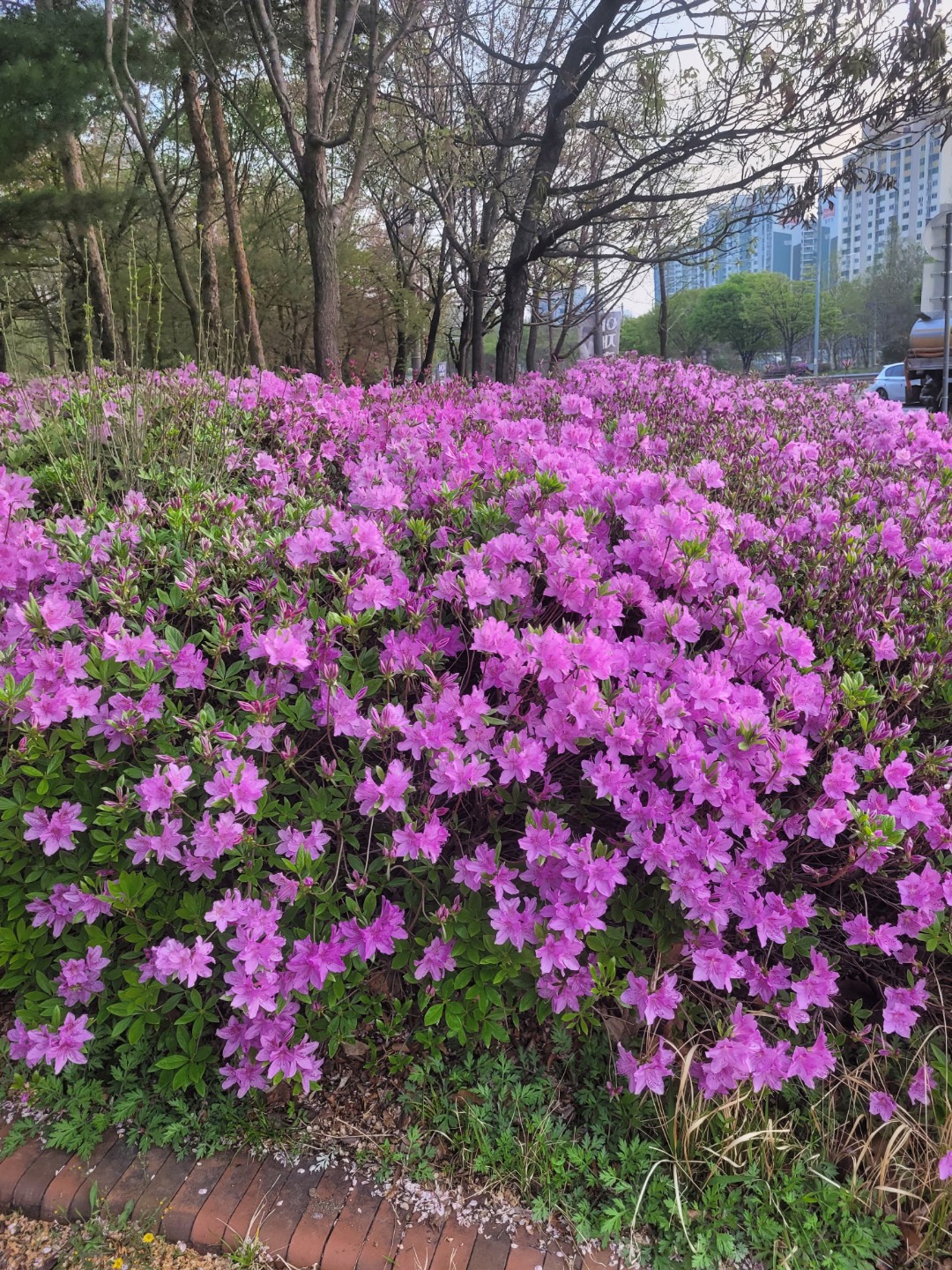 국내여행당일최저가~~