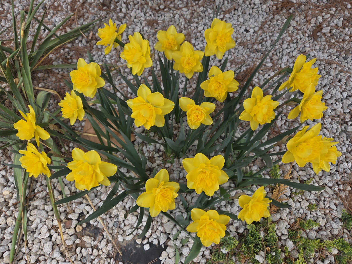 Post image 15
