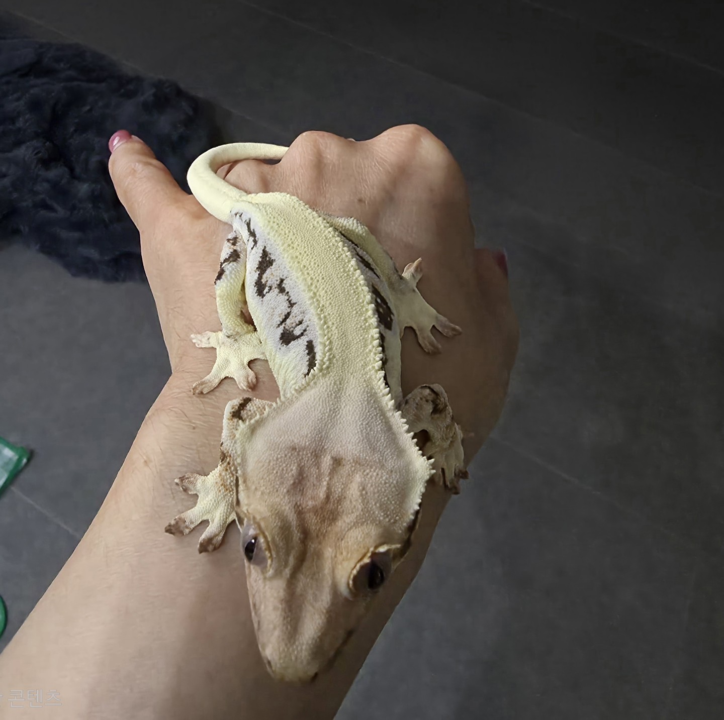 Post image 5