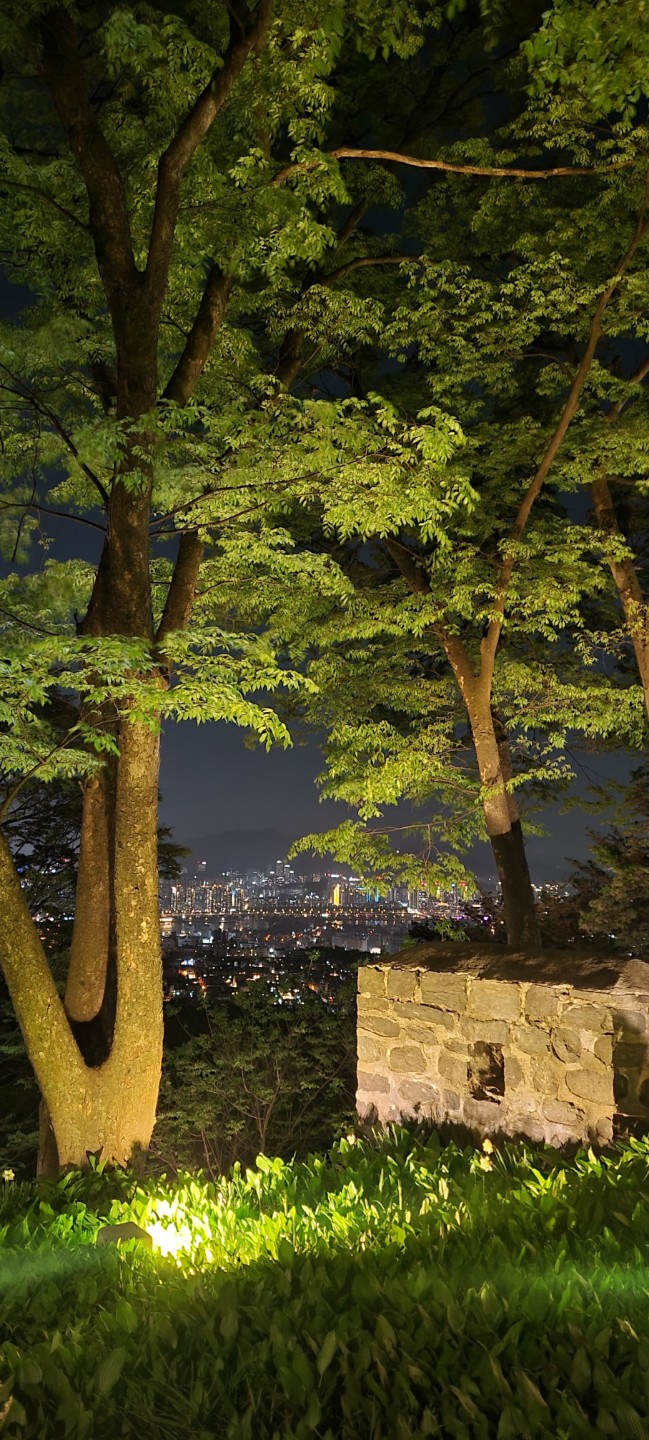 오랜만에 뚜벅이로 남산 다녀오기