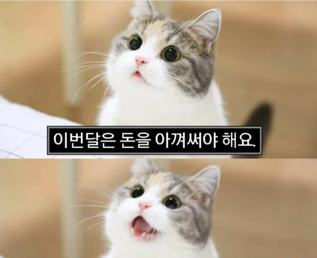 돈 못 모으는 사람들 공통점