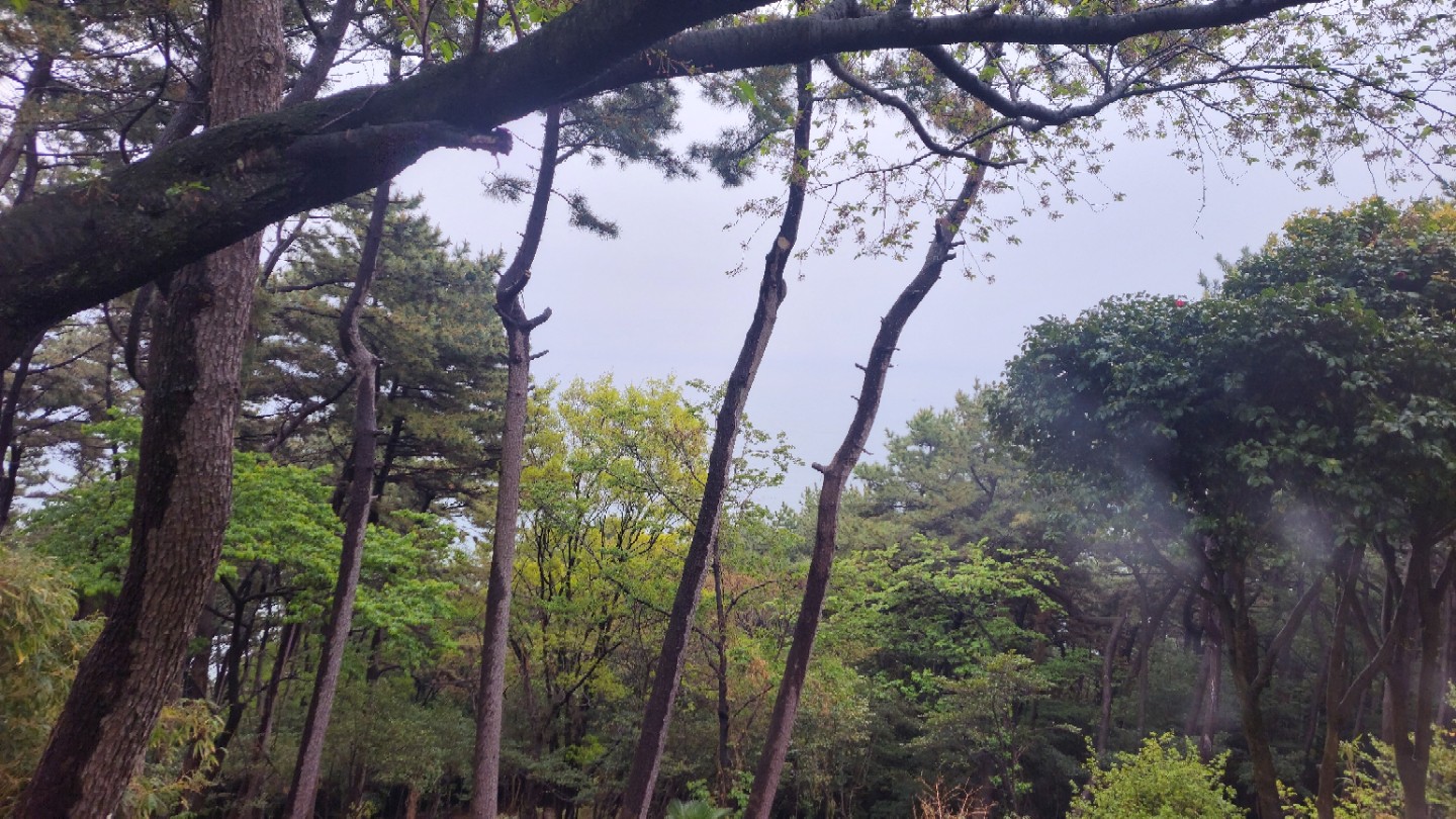 Post image 14