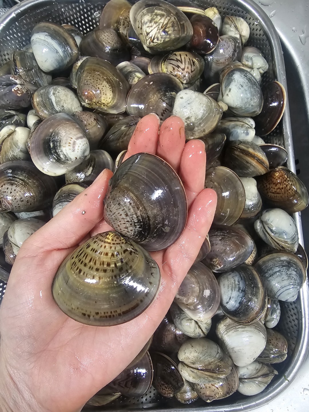 반갑습니다.☺️