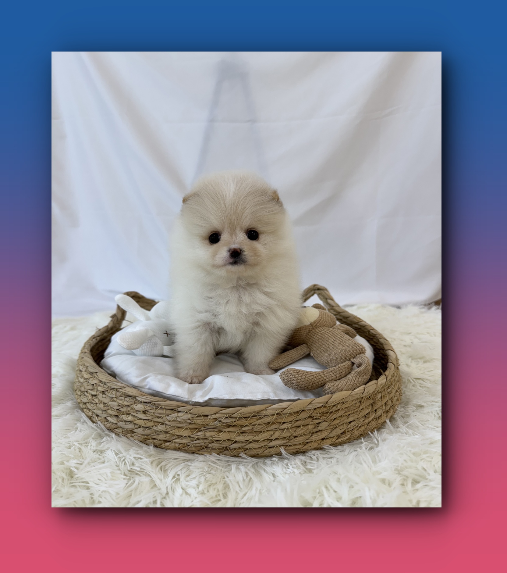 Post image 17