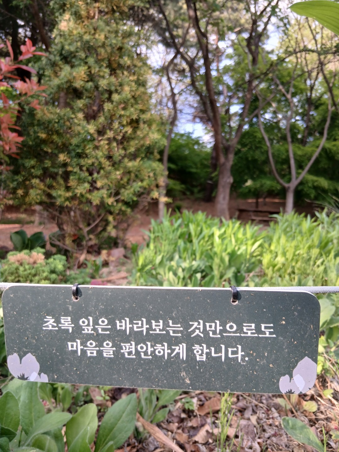 Post image 10