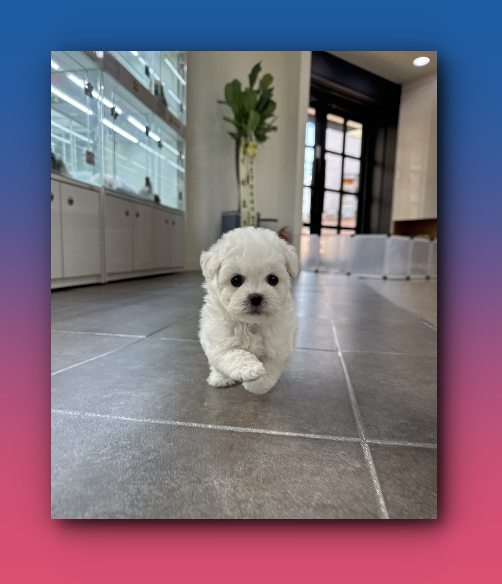 Post image 10