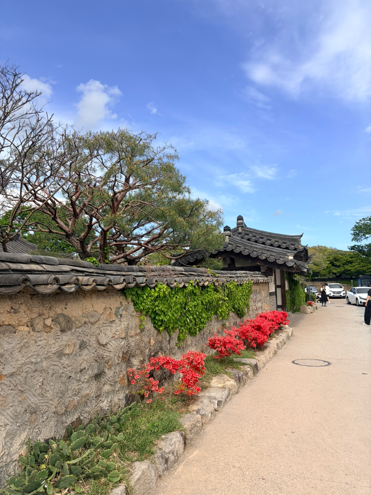 Post image 11