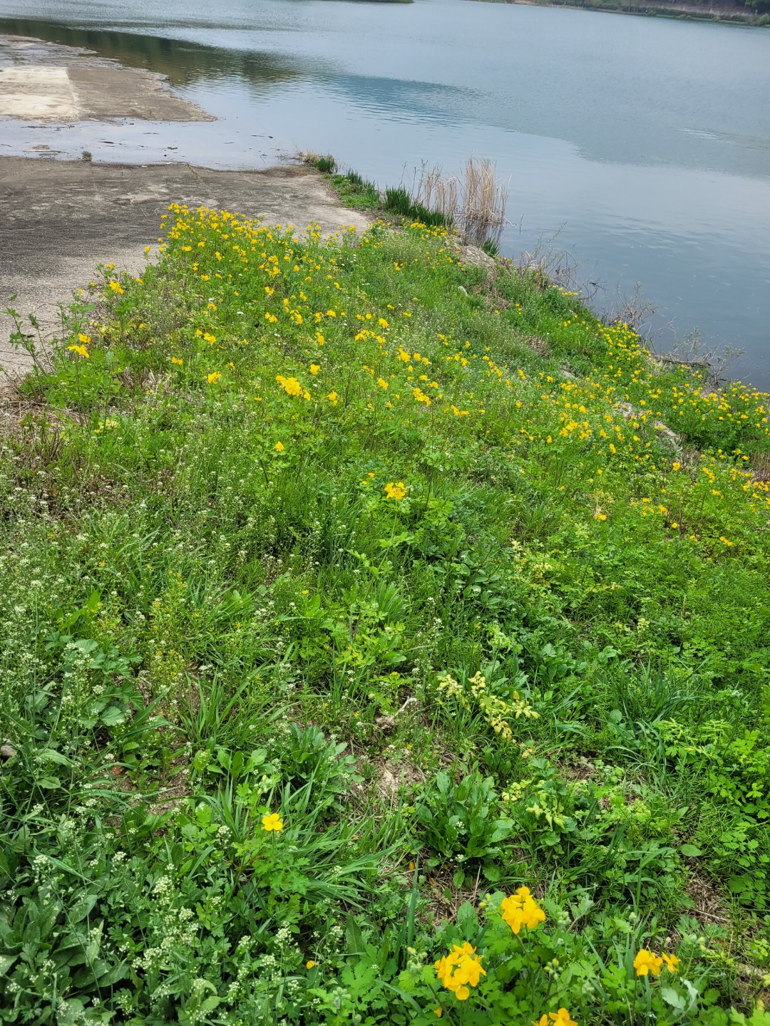 국내여행당일최저가~~