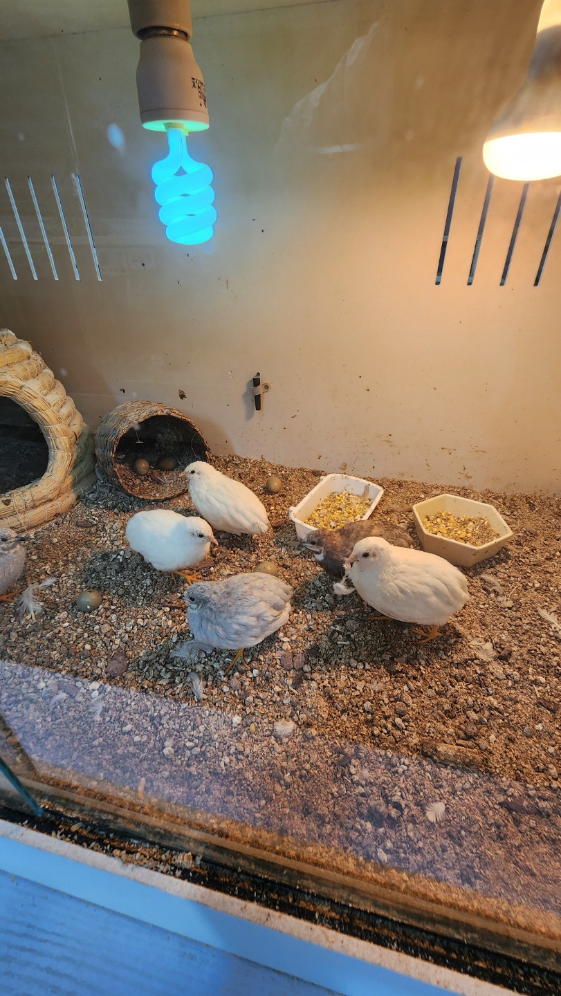Post image 8
