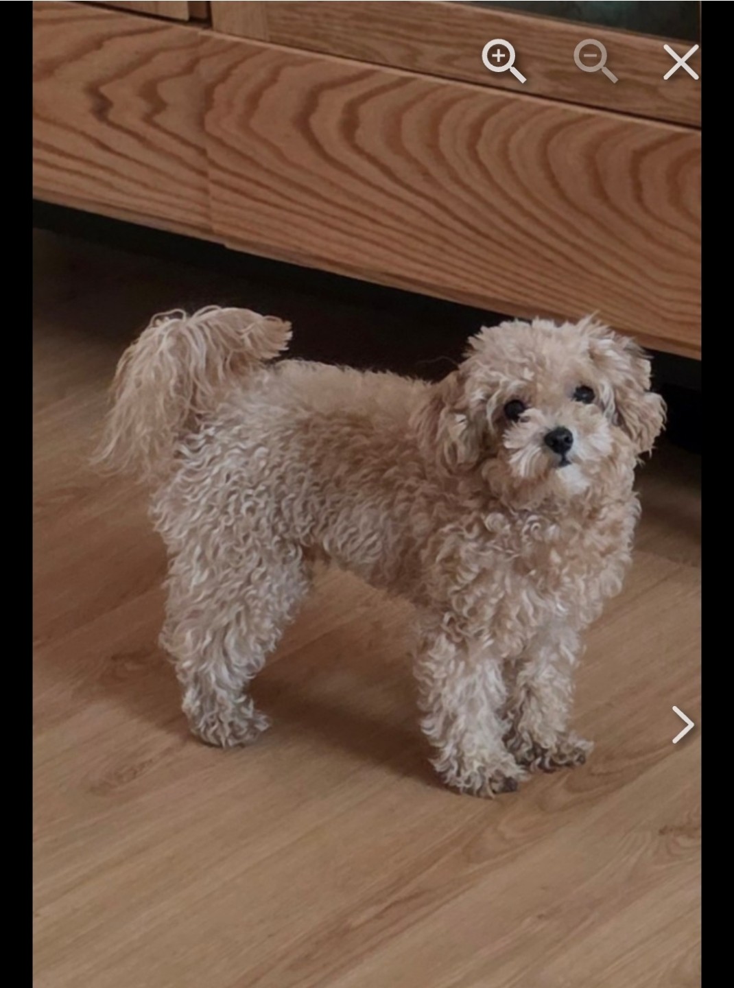 Post image 5