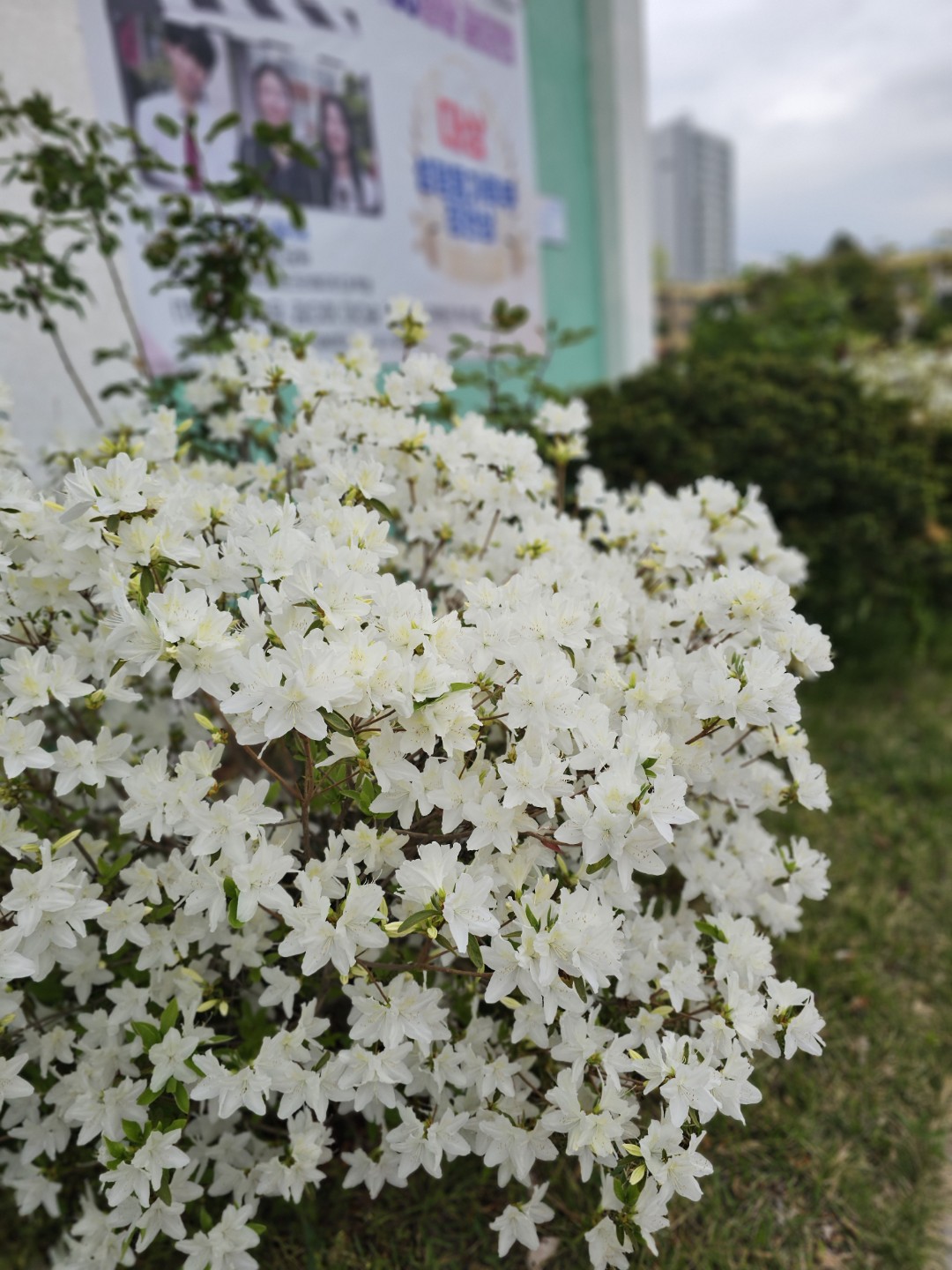 Post image 67