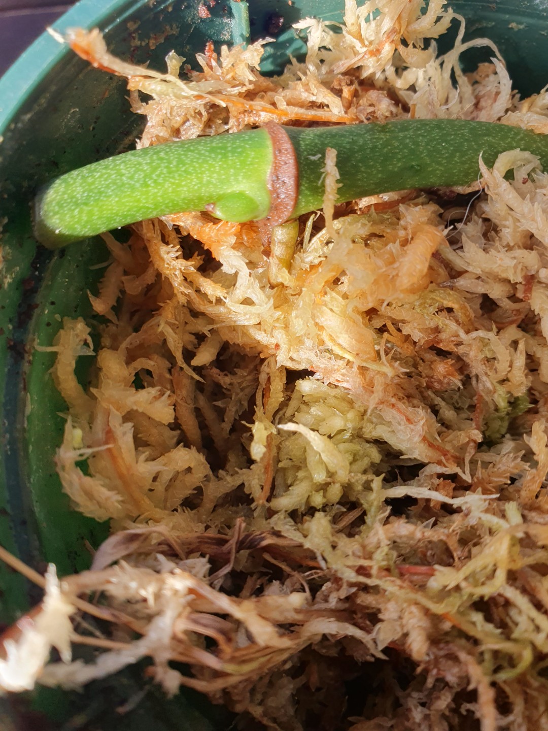Post image 16