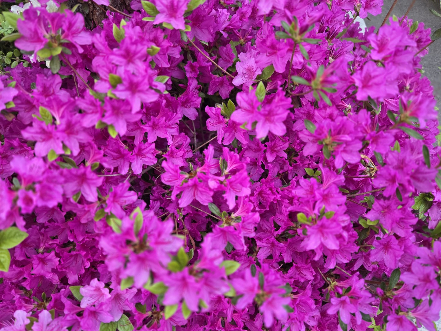 Post image 7