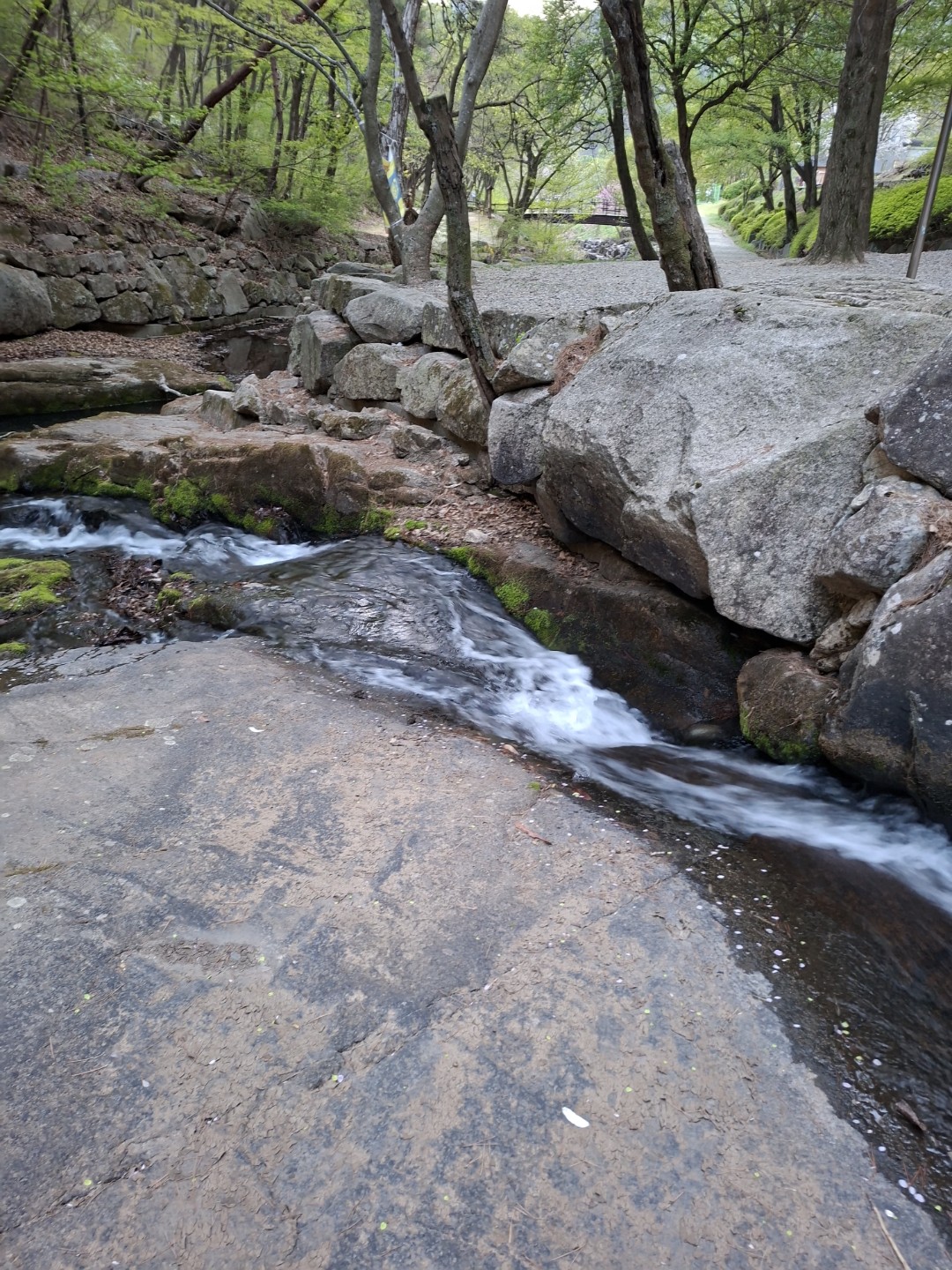 Post image 6