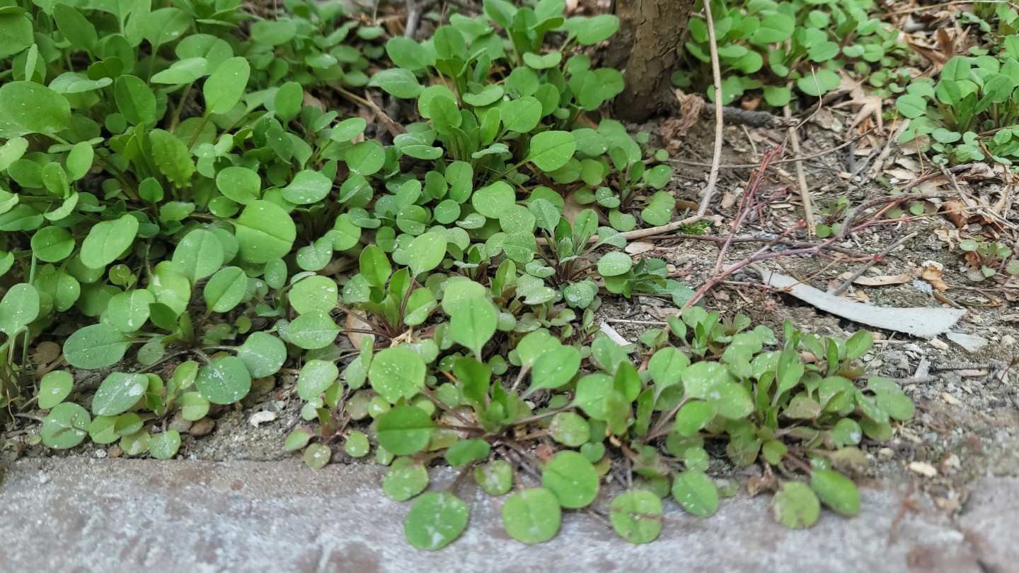 Post image 18