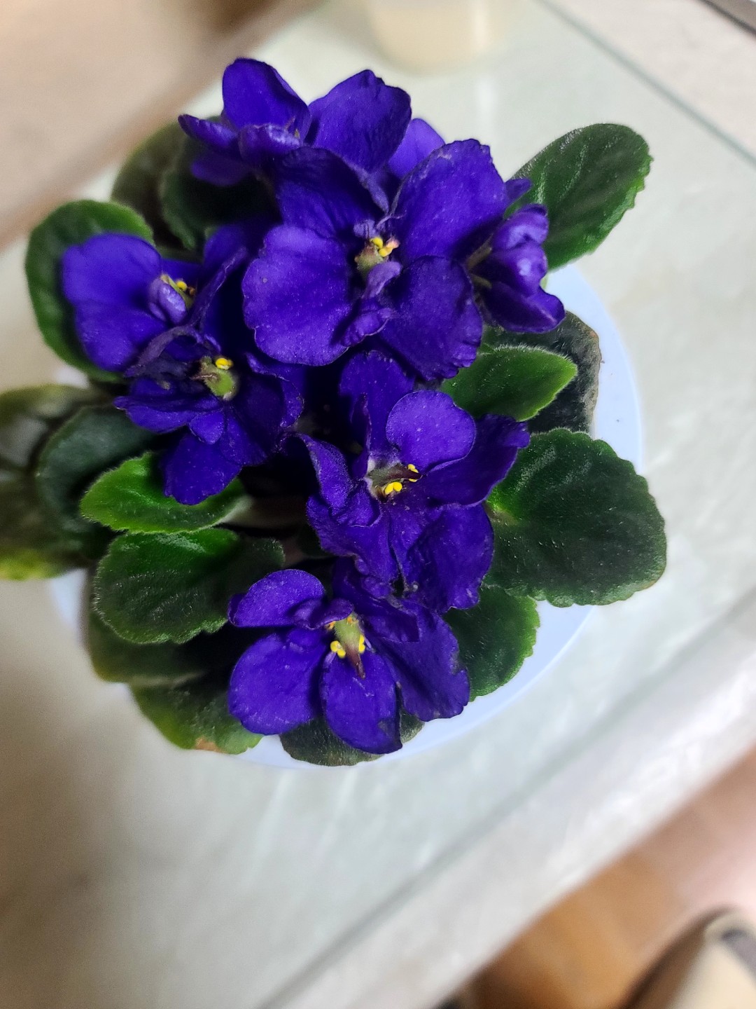 Post image 3