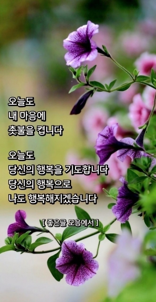 Post image 68