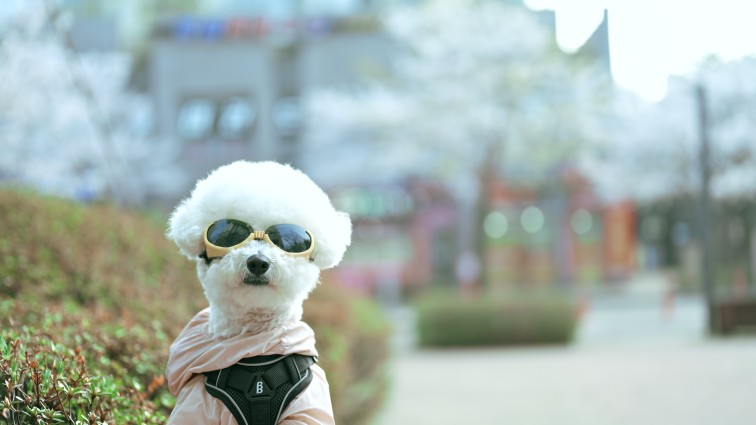라이딩 준비 끝!