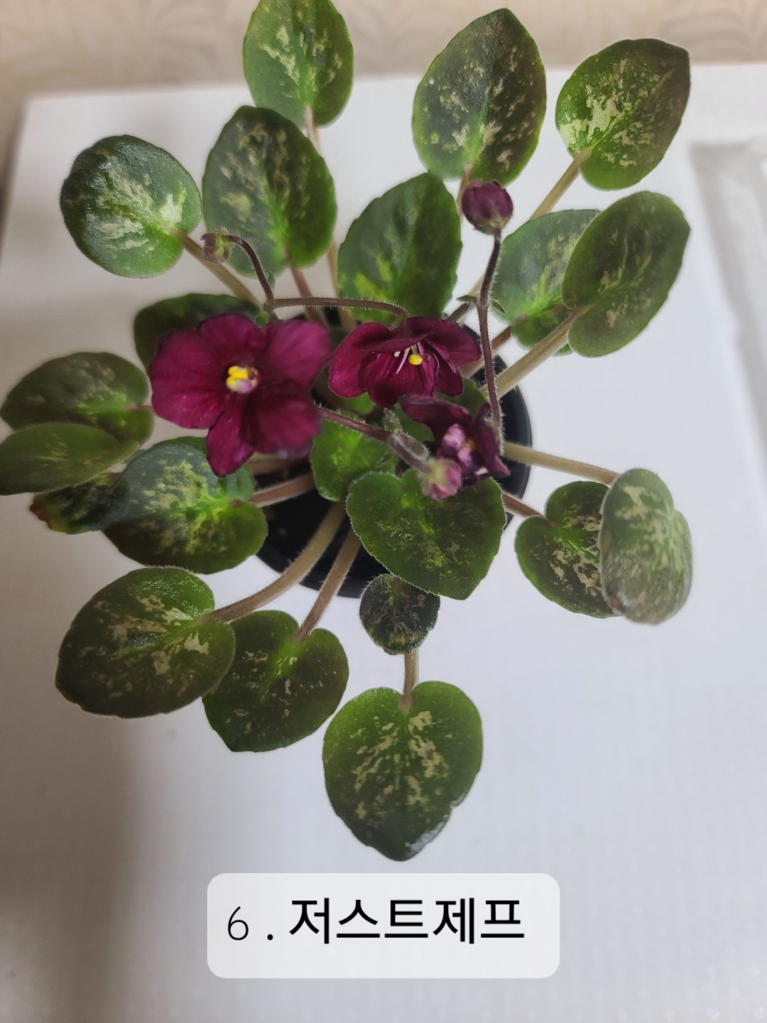 Post image 5