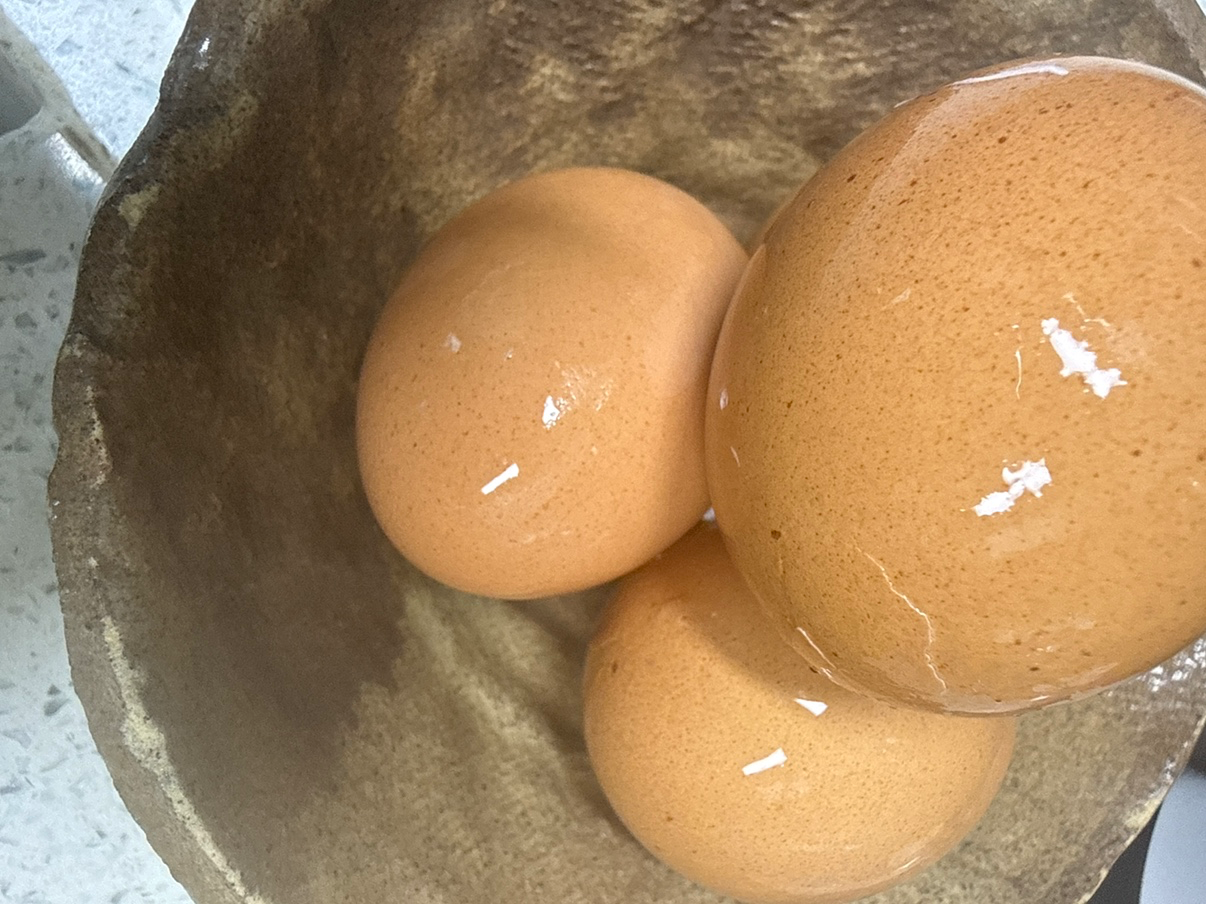 아침에 일어나 계란 삶을 수 있음에 감사