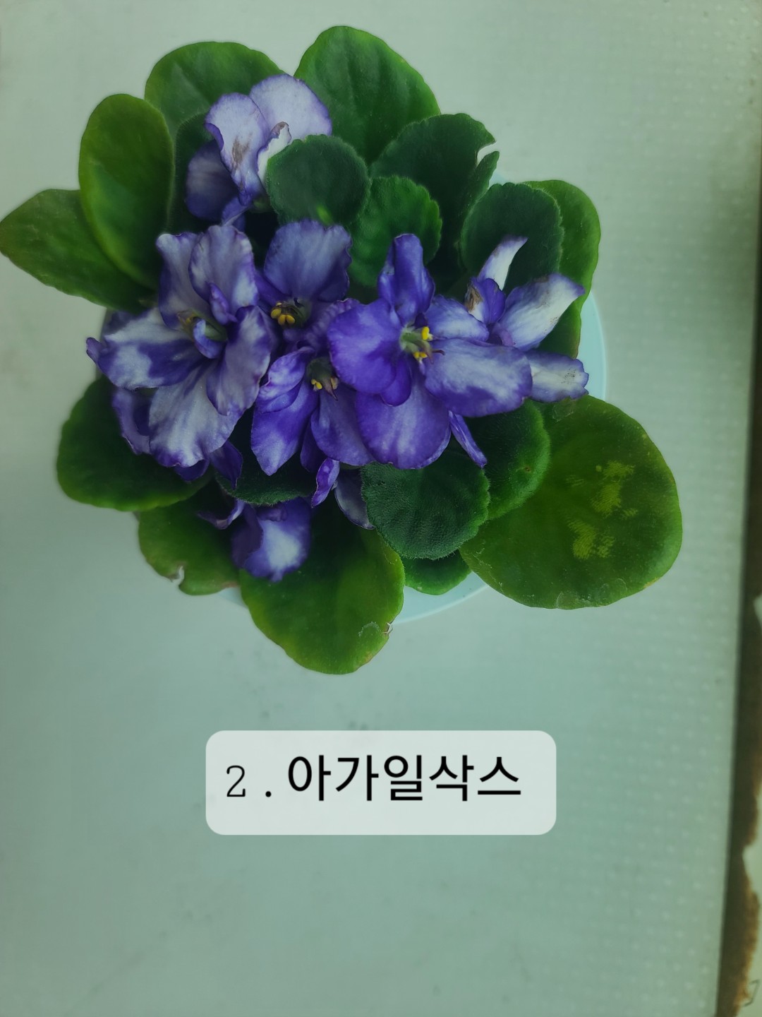 Post image 6