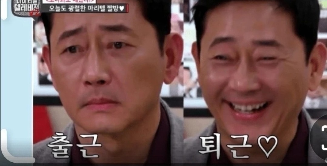 웃긴 짤 대방출 😂