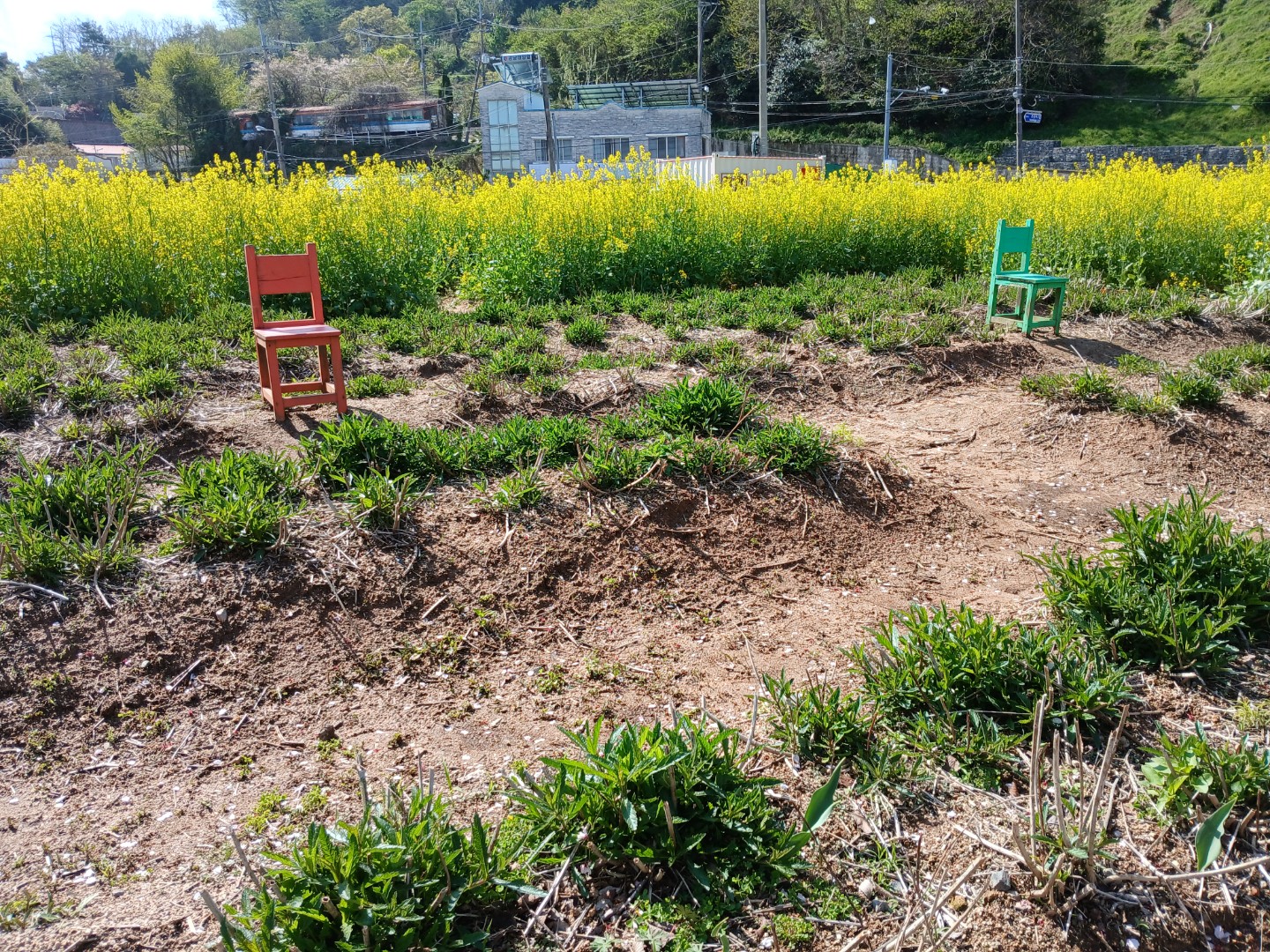 섬마을에서~아침산책길