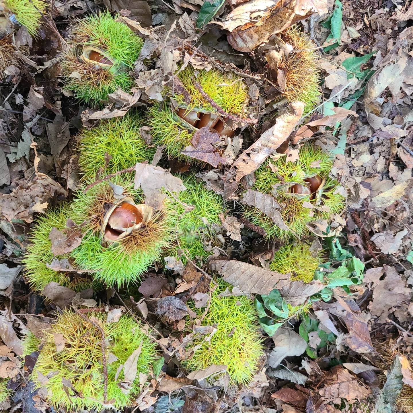 Post image 2
