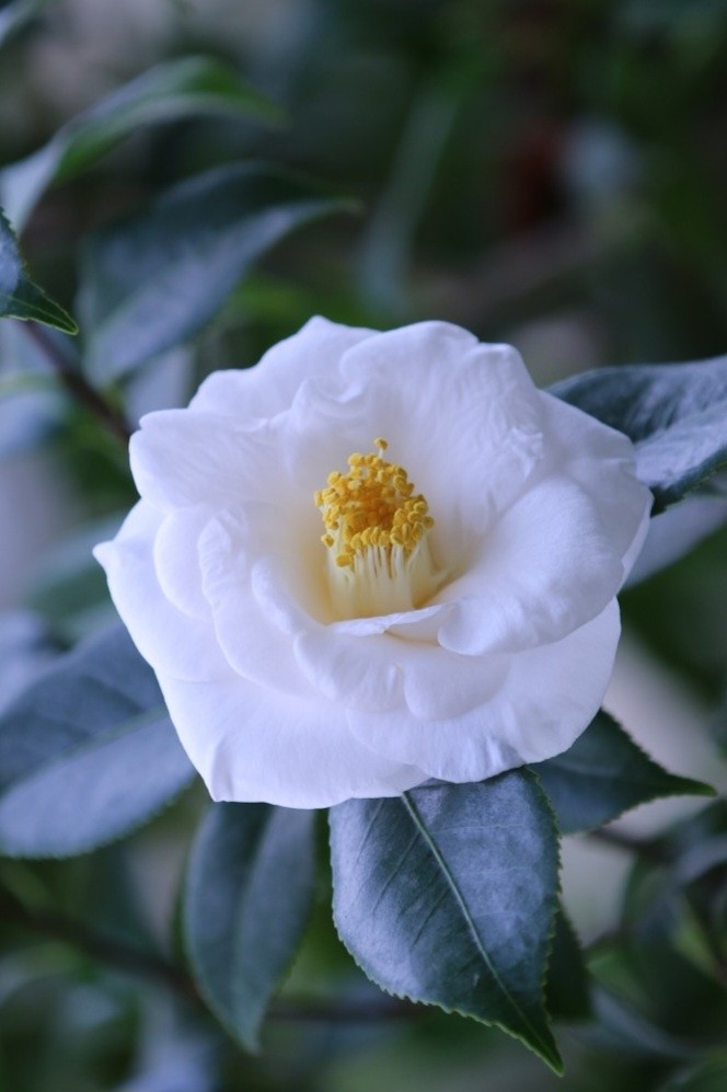 Post image 3