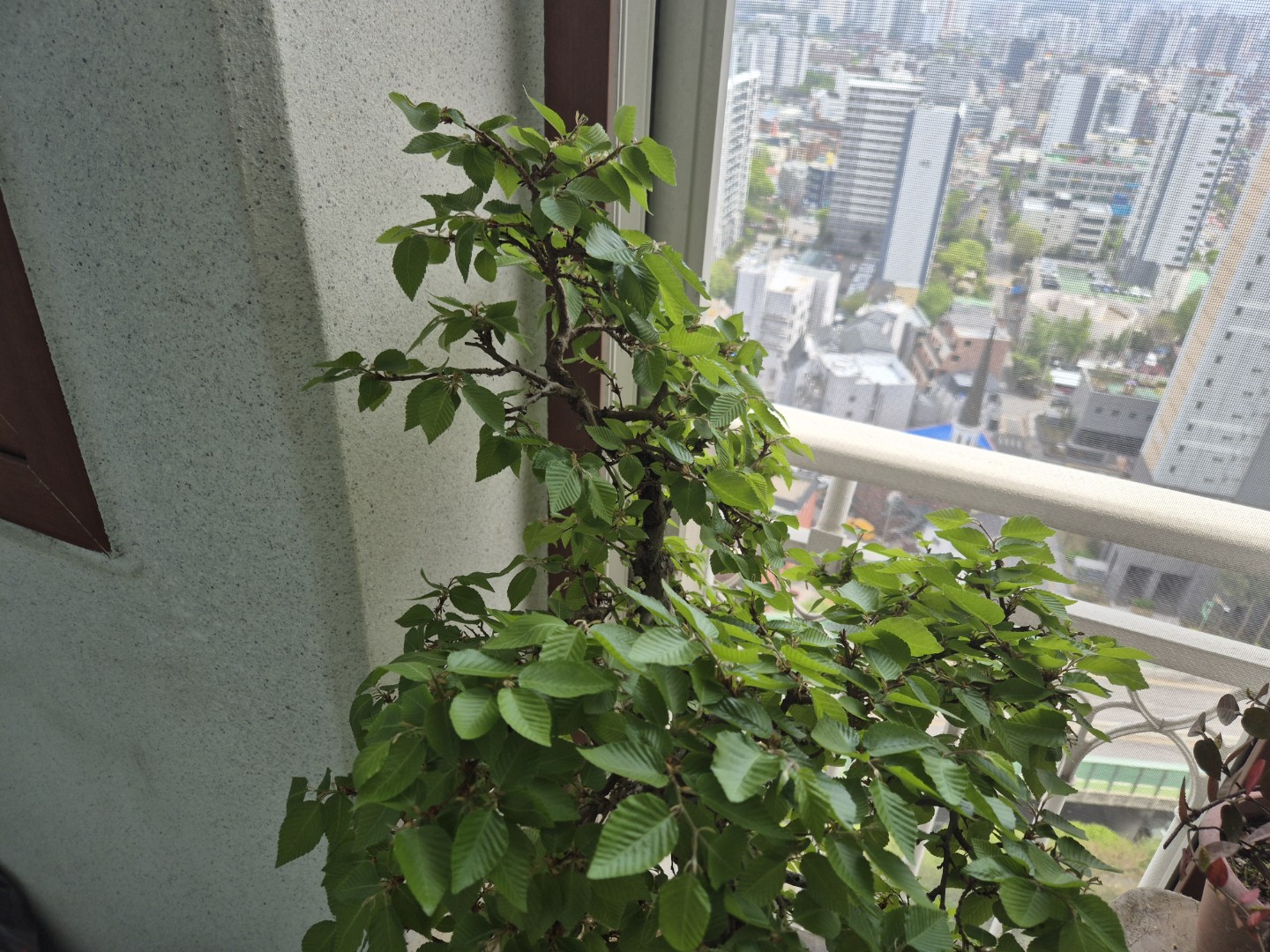Post image 4