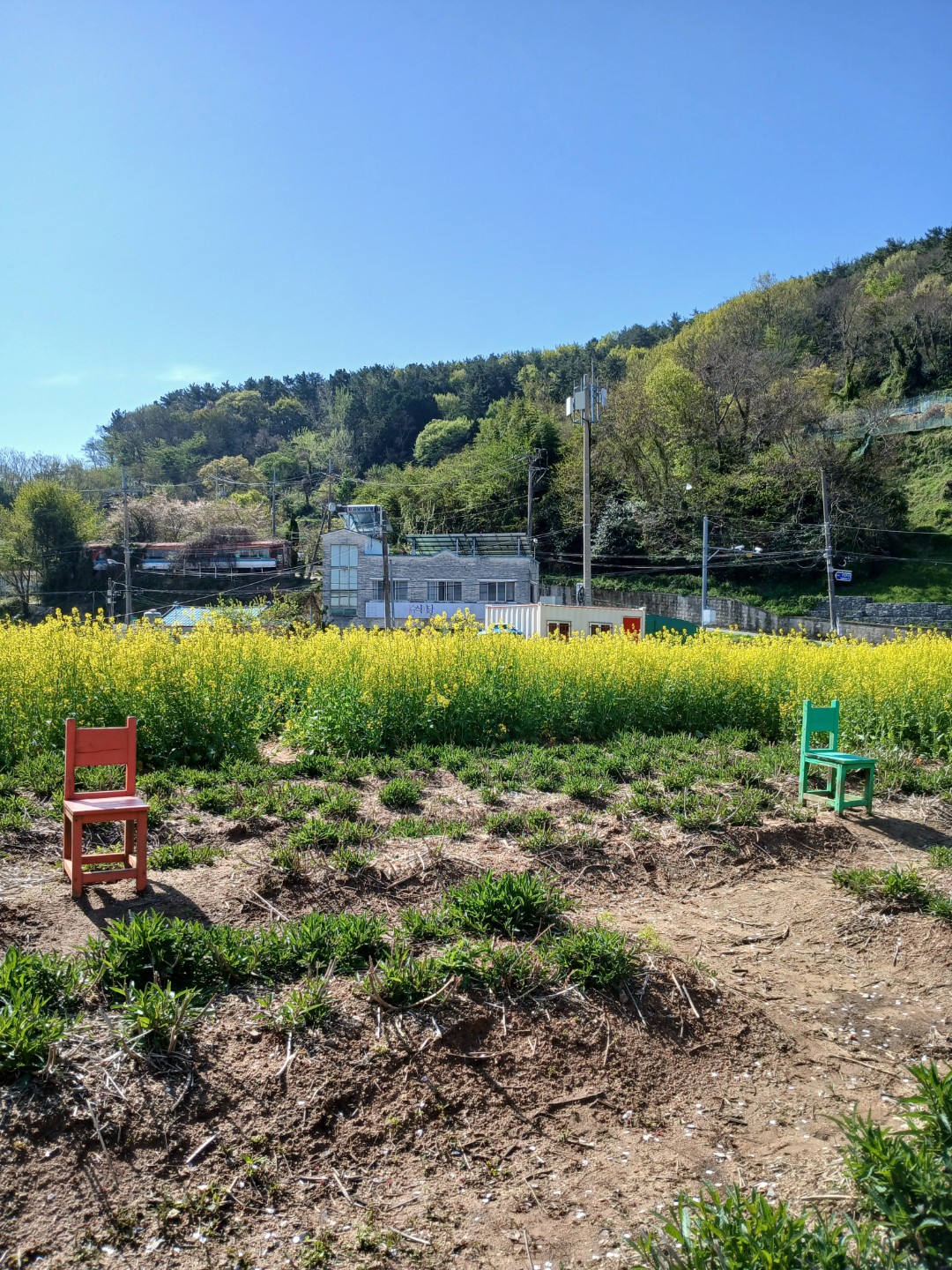 섬마을에서~아침산책길