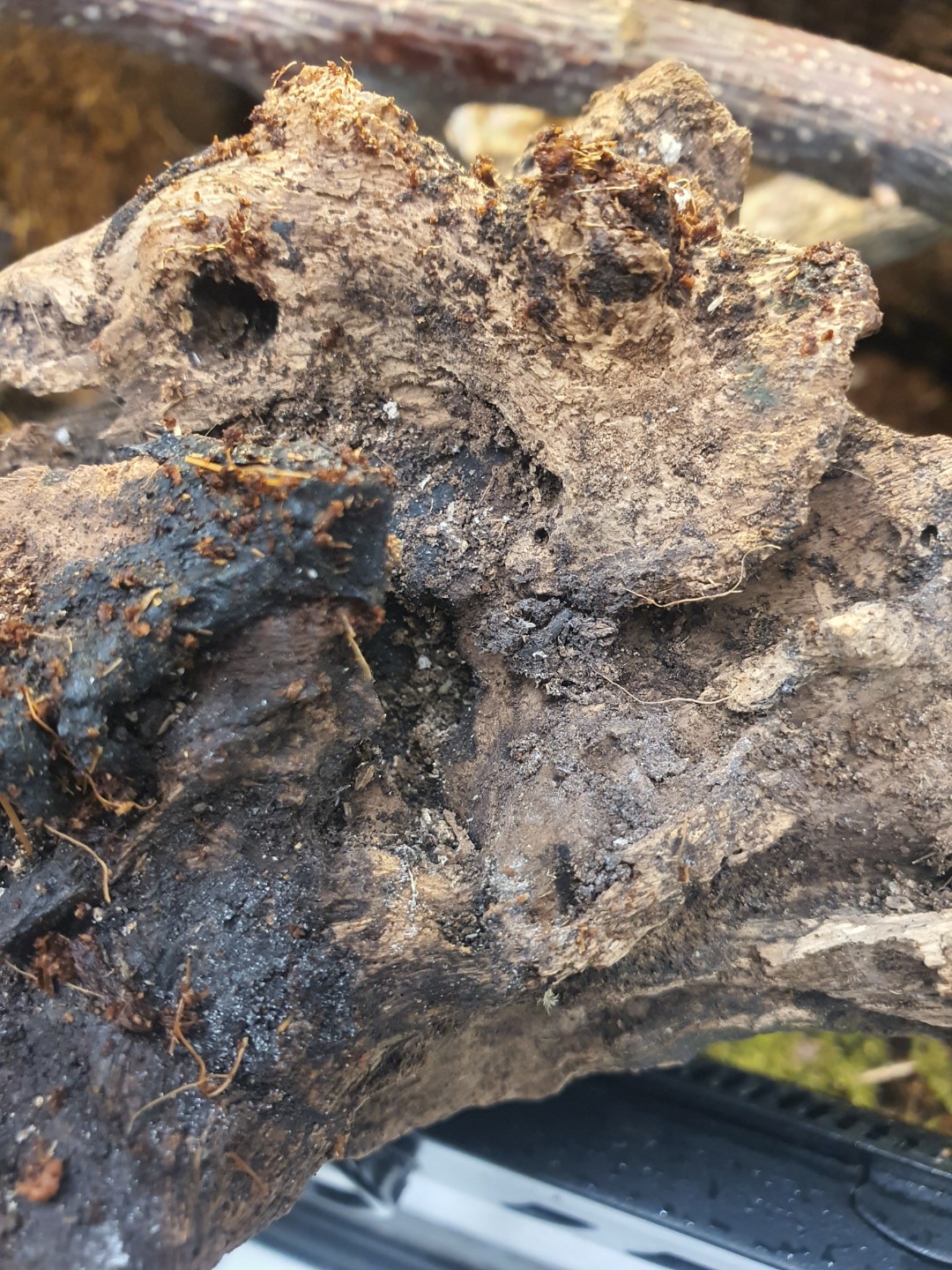 Post image 7