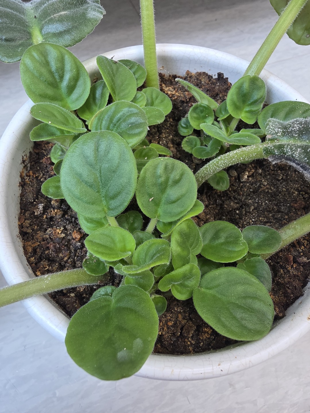Post image 6