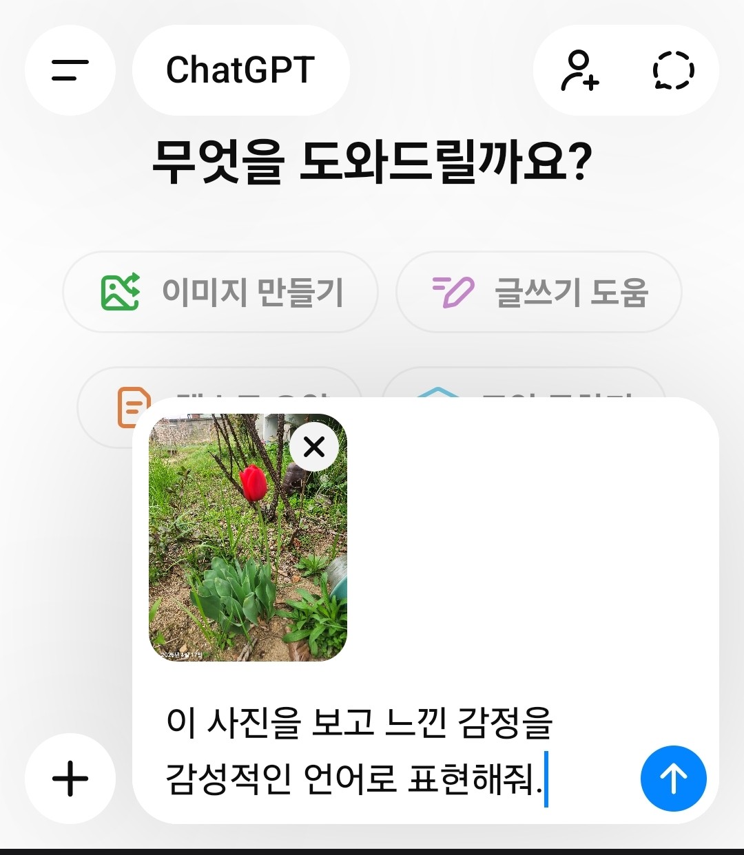 Post image 6