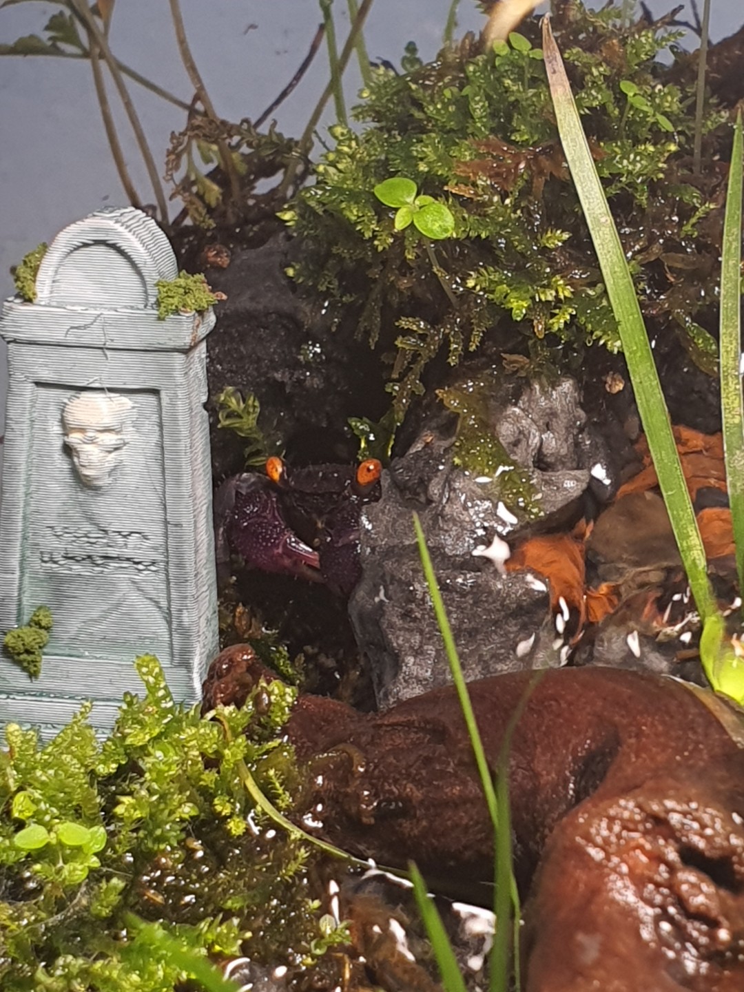 Post image 3