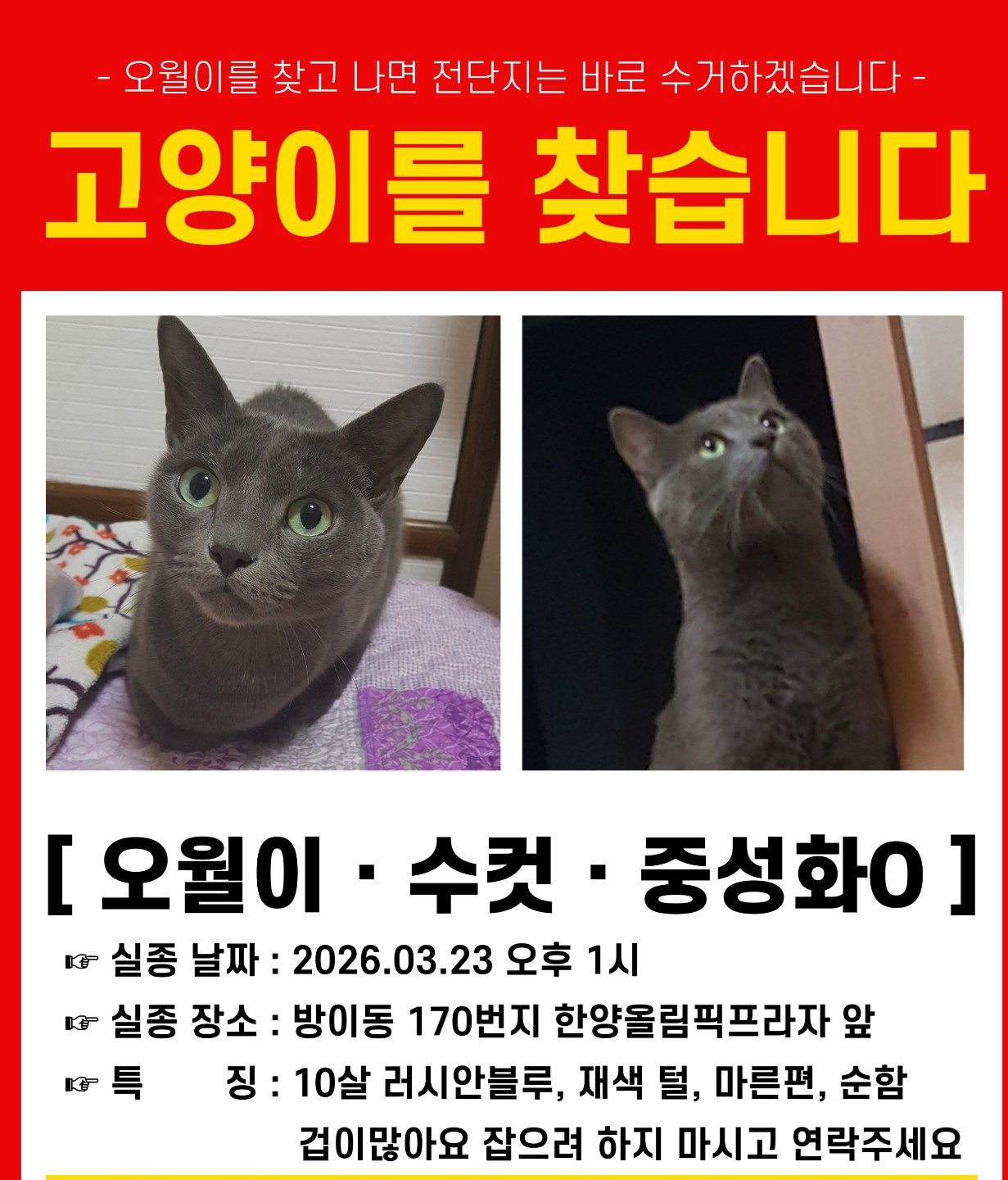Post image 5