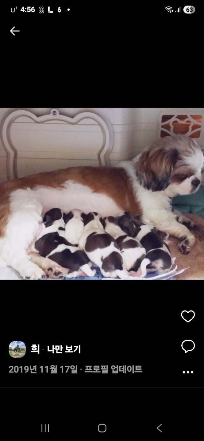 Post image 12