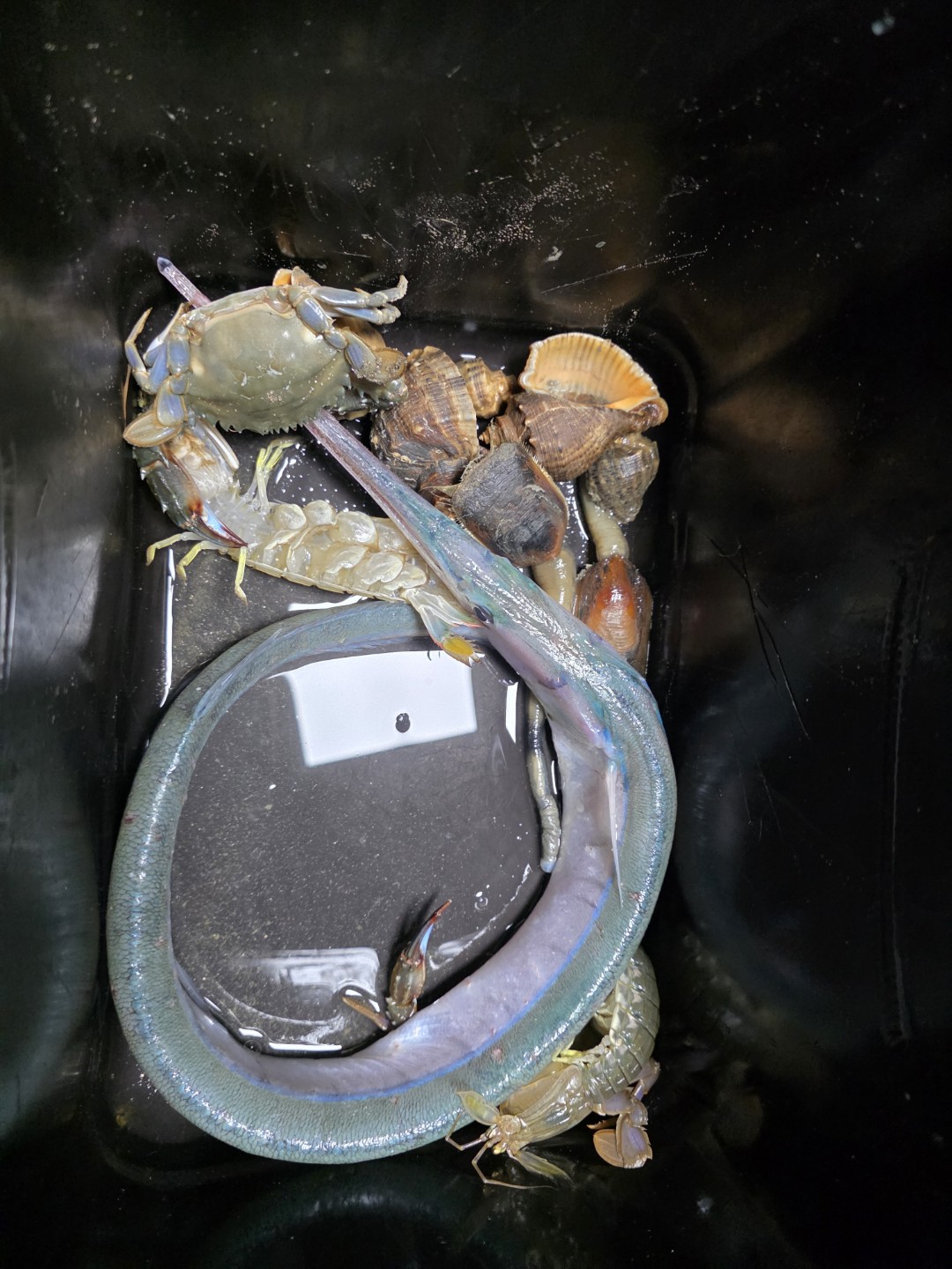 Post image 4