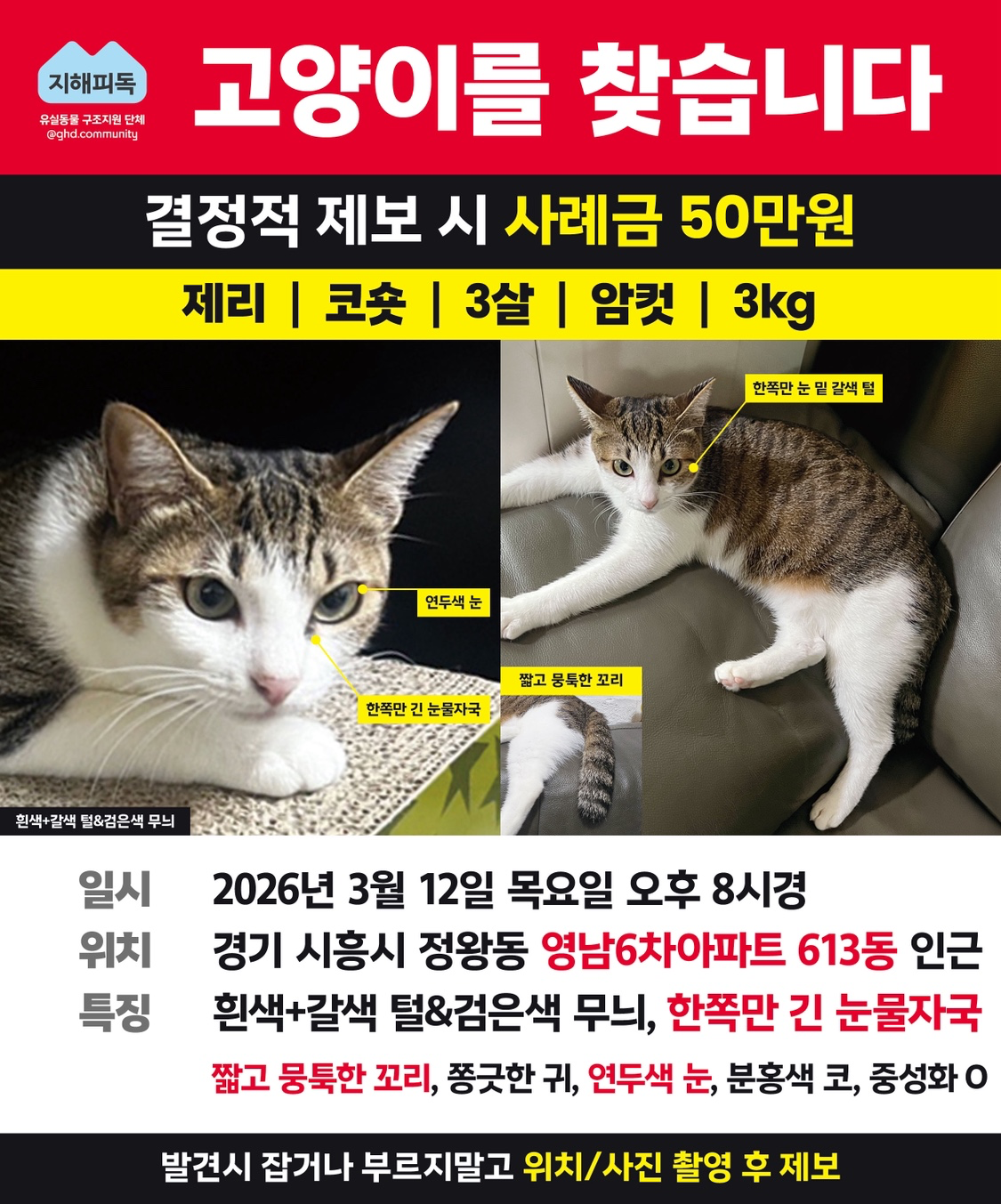 Post image 19